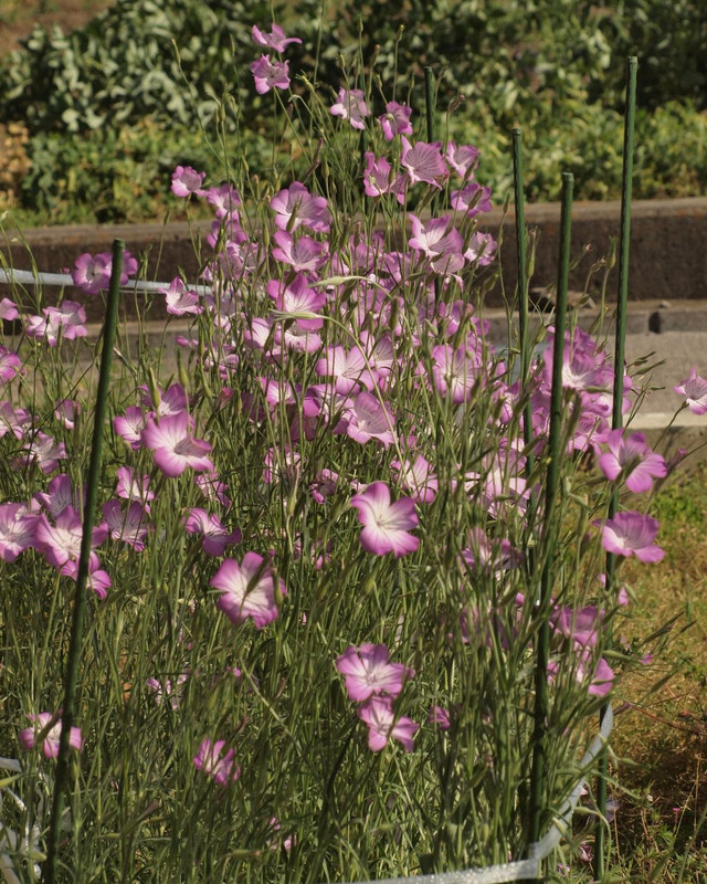 P5042456