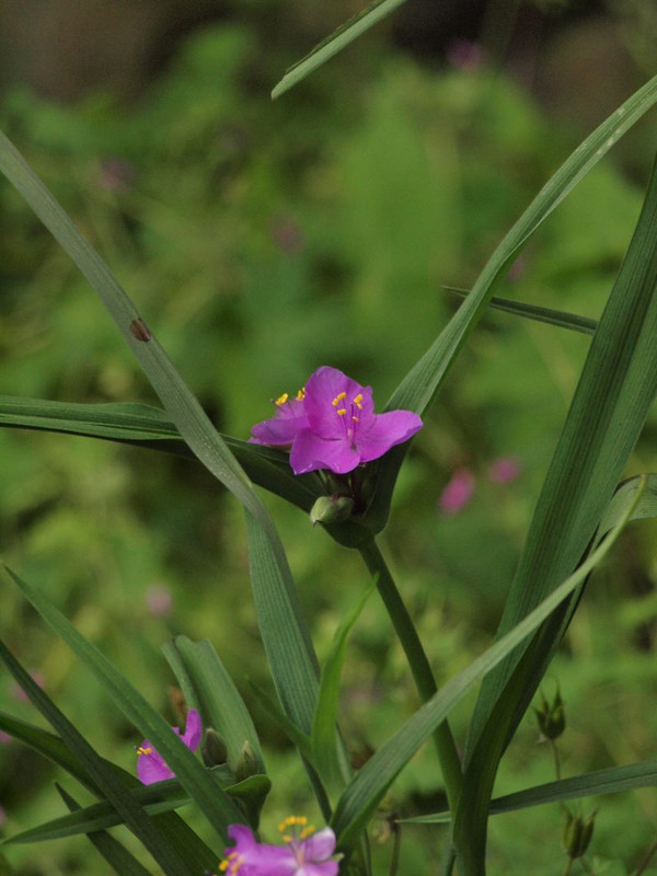 P5062464