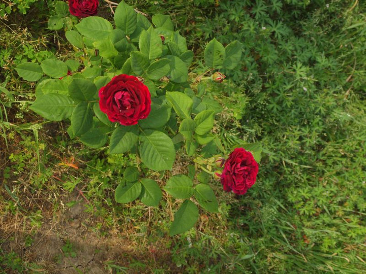 P5072593