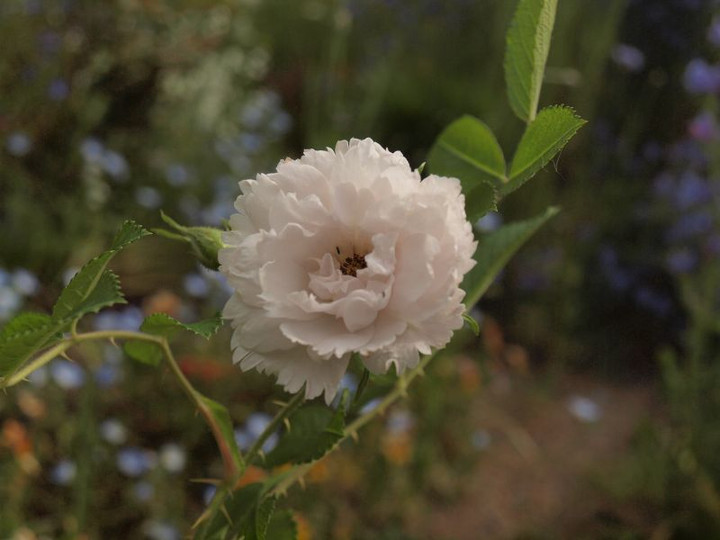 P5082623