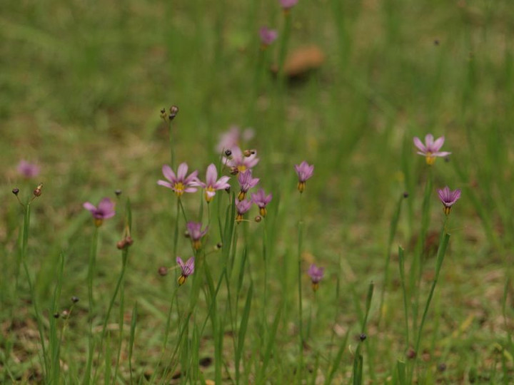 P5173055