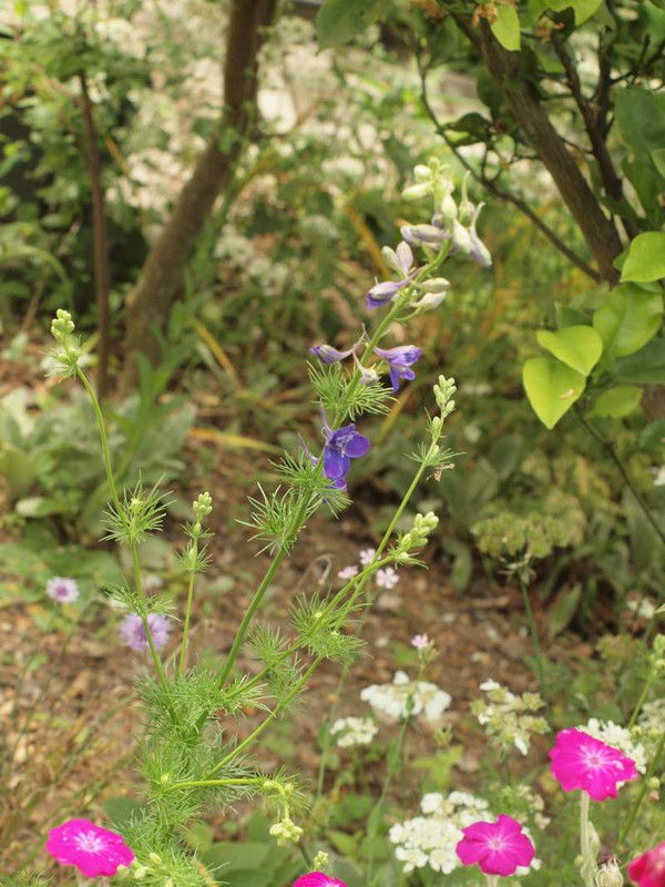 P5263819