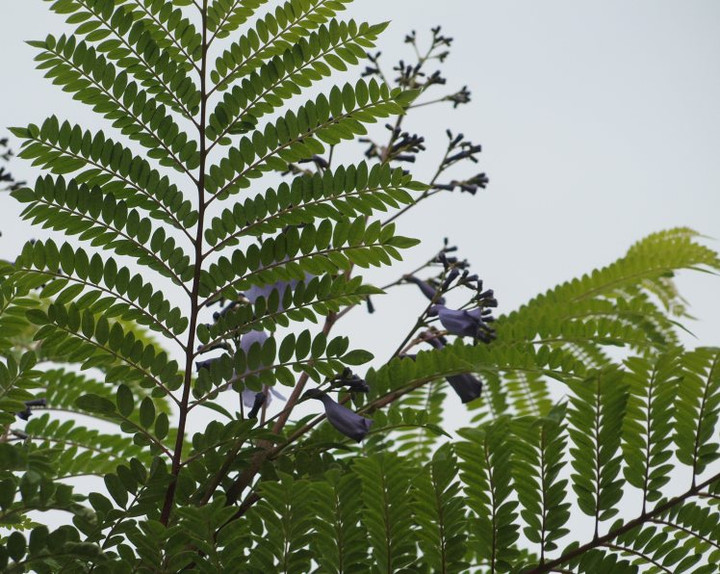 P1014431