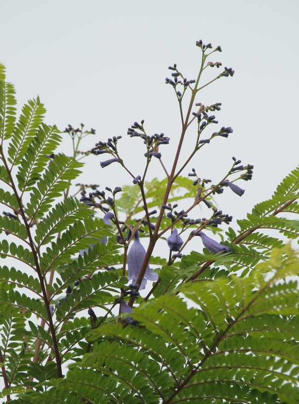 P1014434