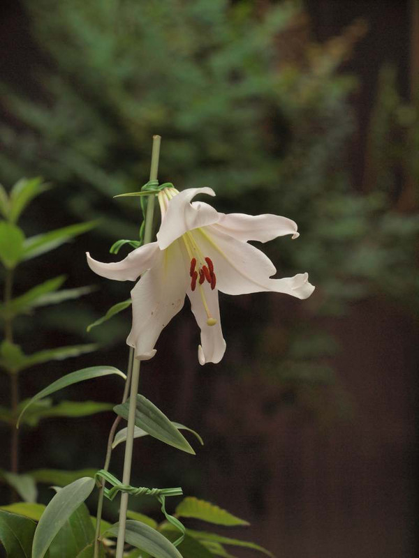 P6044358