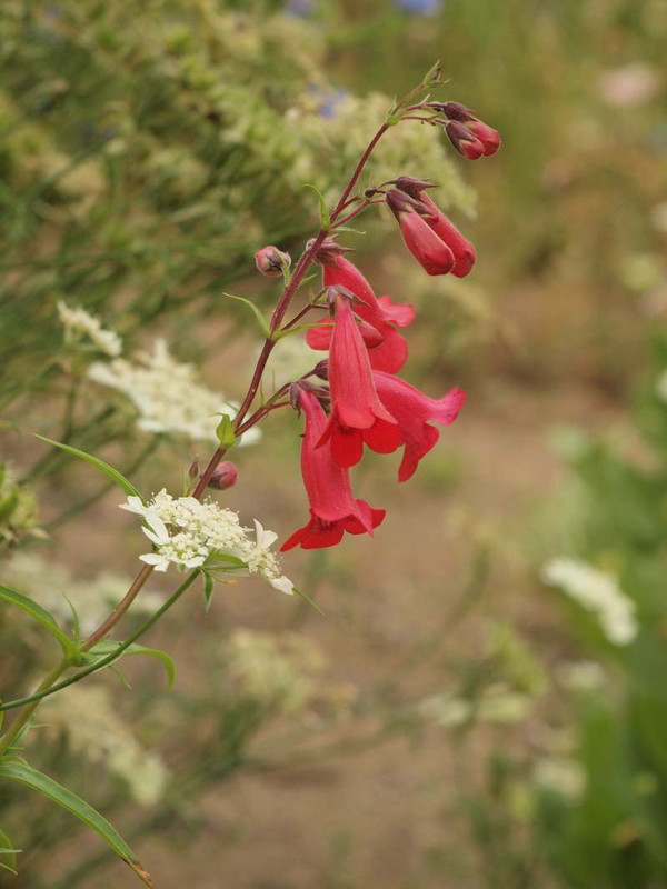 P6044377