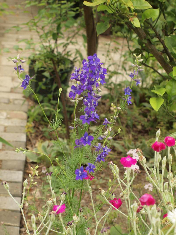P6044378