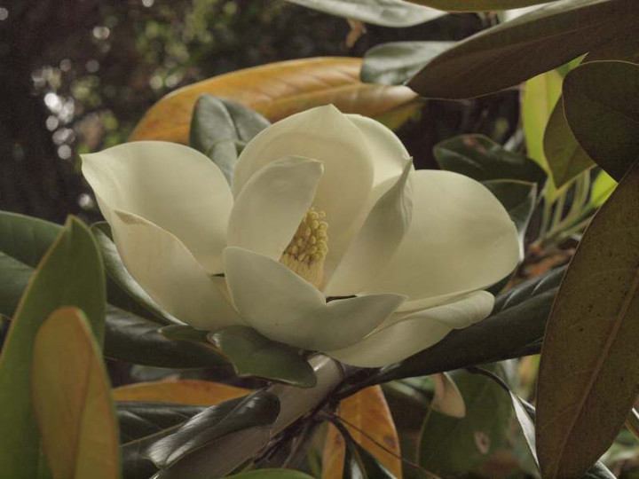 P6044397