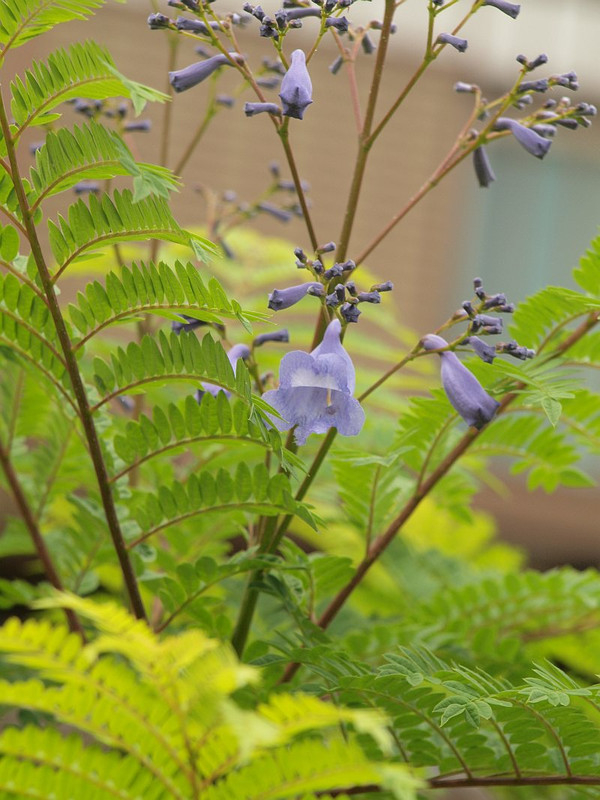 P1014454
