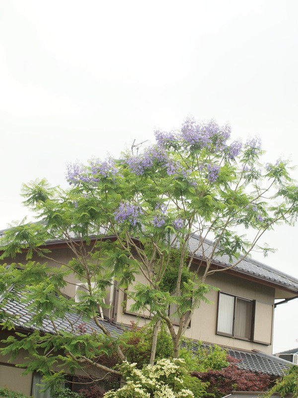 P1014481