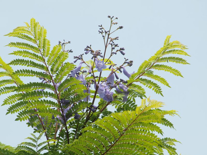 P1014490