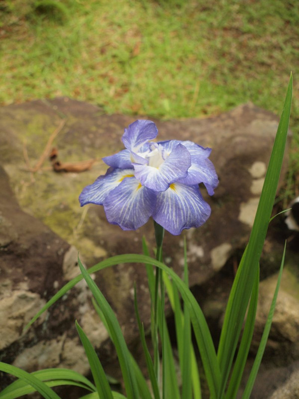 P1014524