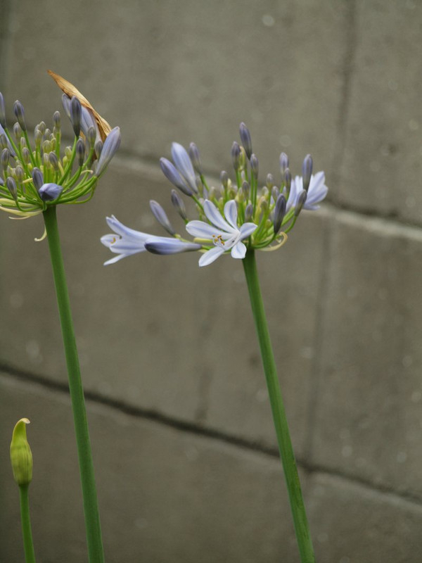 P1014543