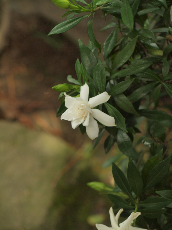 P1014695