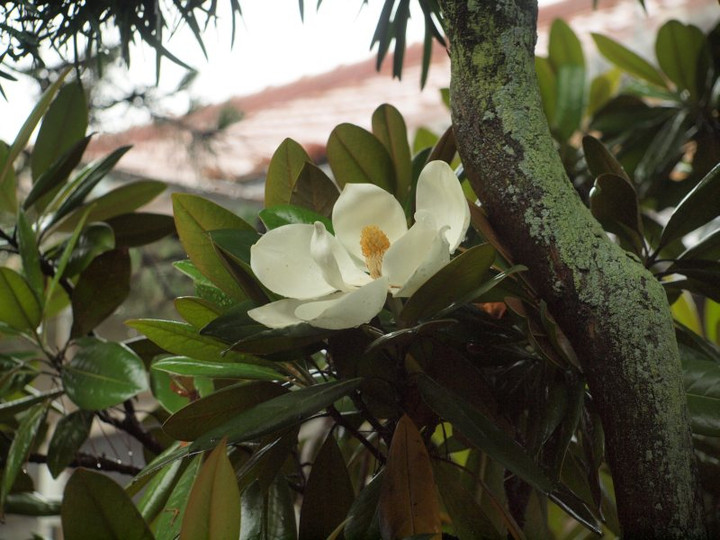 P1015083