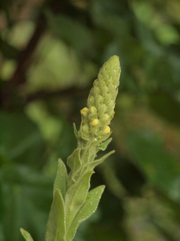 P6225220