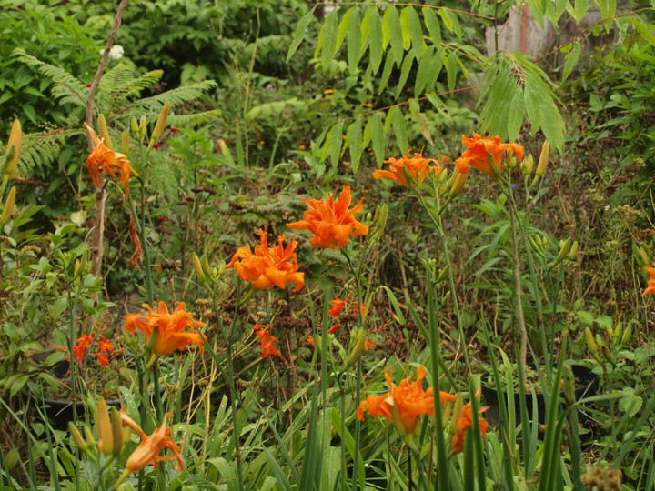 P6305587