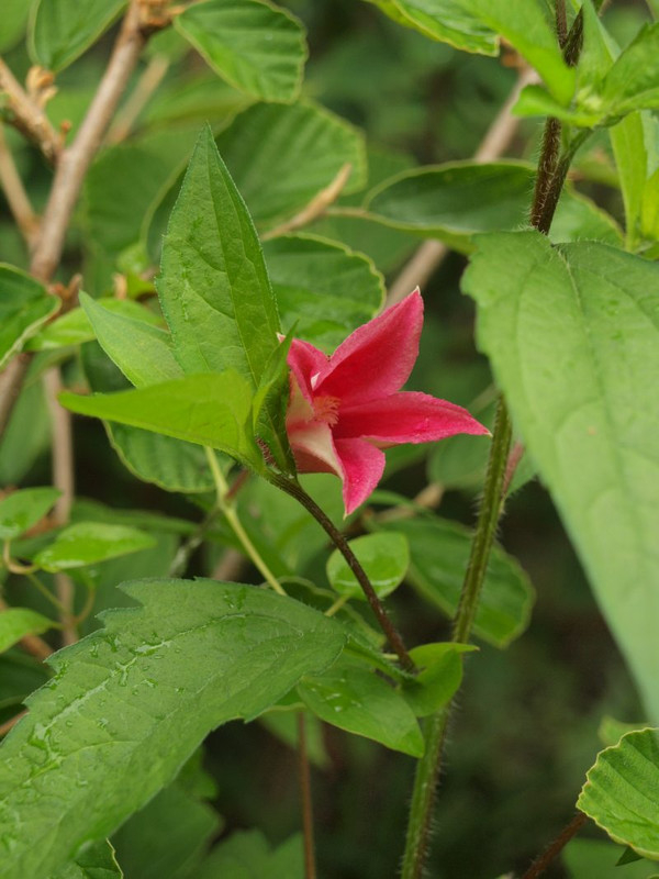 P6305588