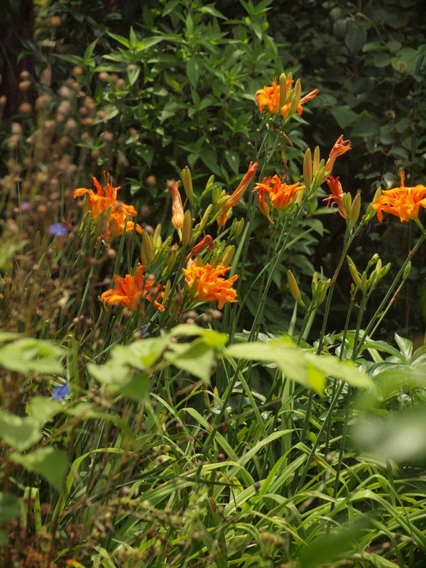 P7015606