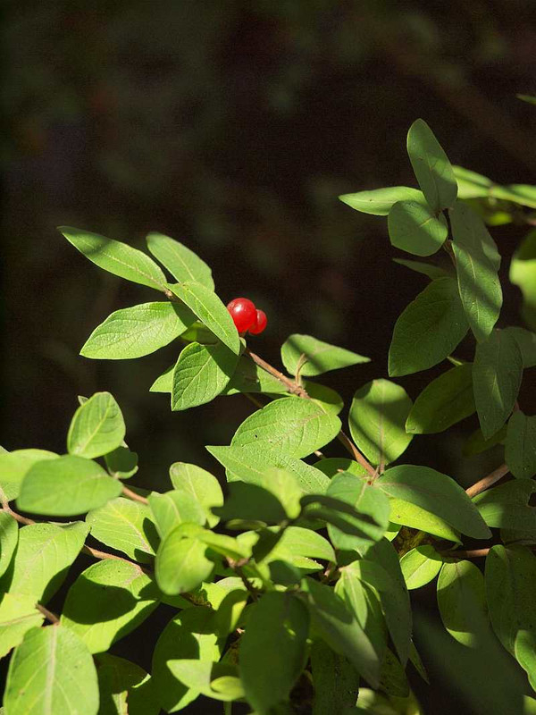 P7126739