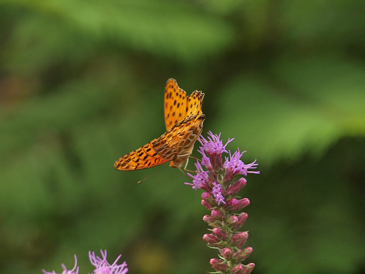 P7136757