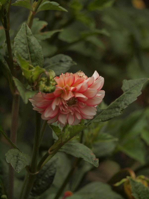 P7156822