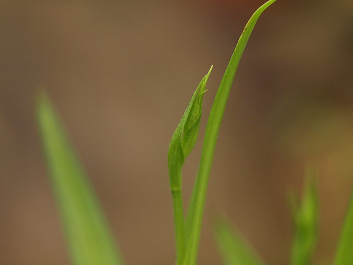 P7166844