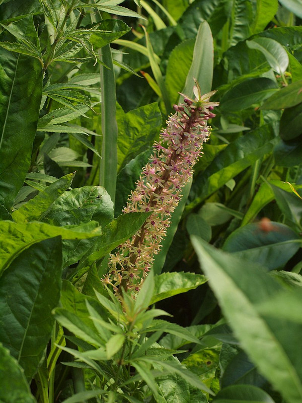 P7206951