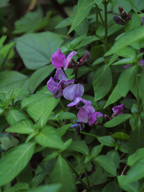 P7226970