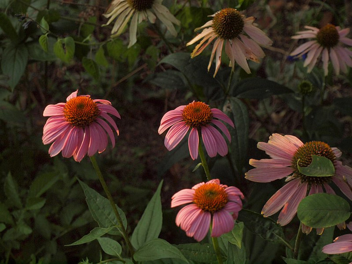 P7226976
