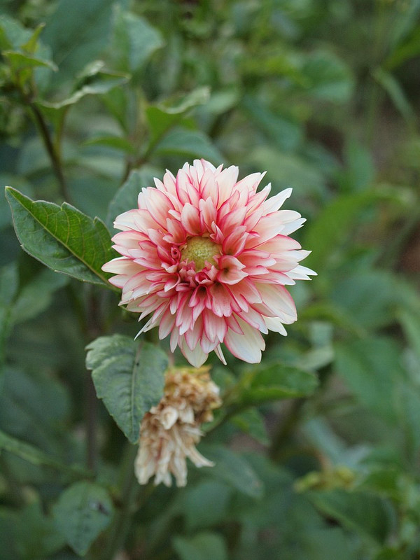 P7226982