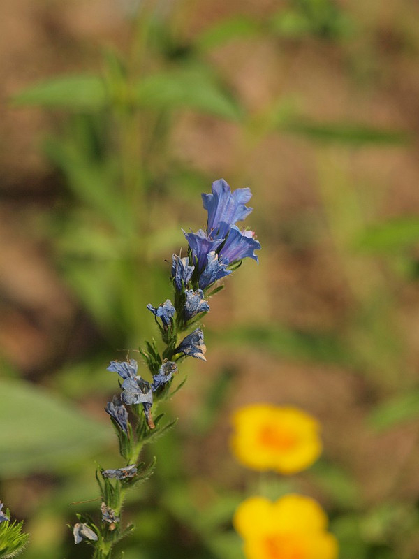 P7317131