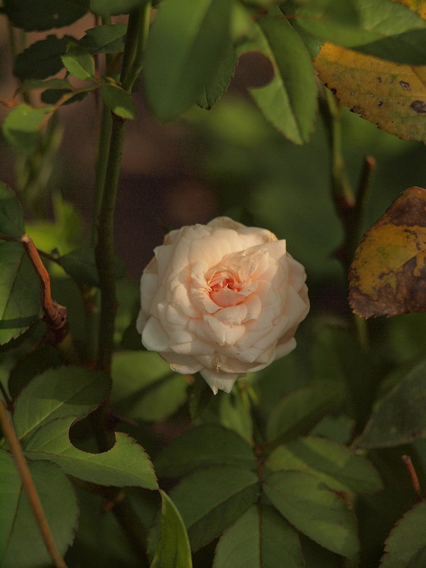 P8057337