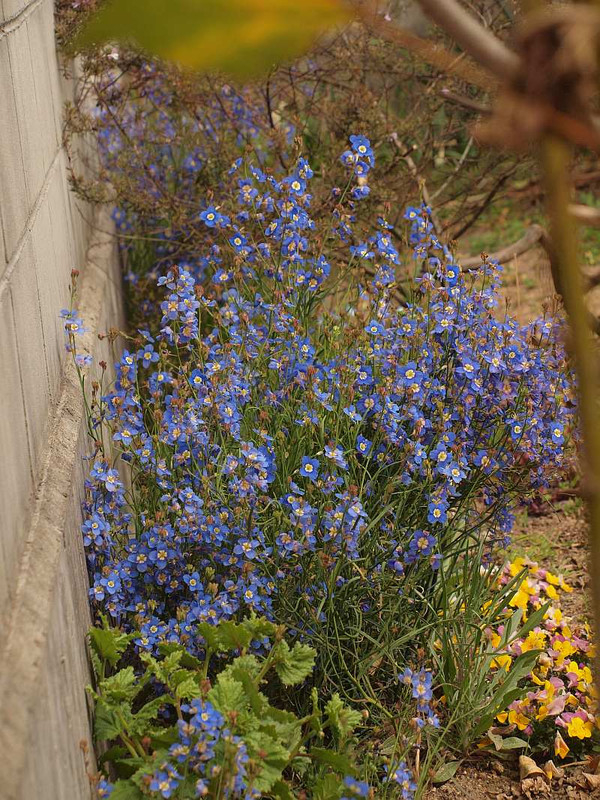 P3202099herio P3202099herio