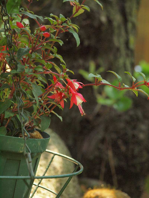 P5290085