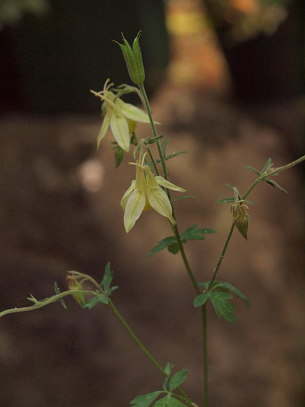 P5300111