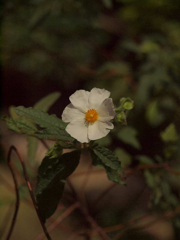 P5300113