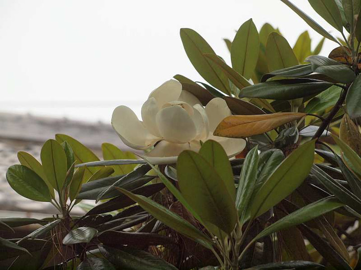 P5300123