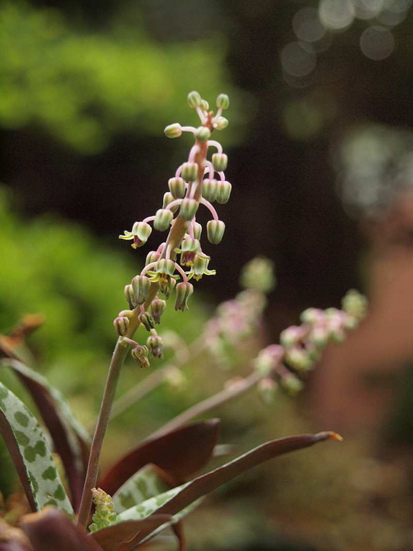 P5310136