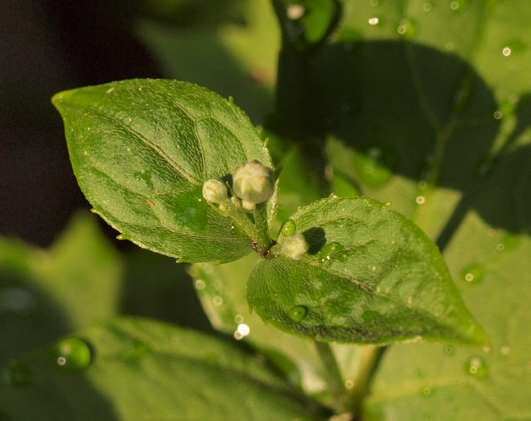 P6010162_2
