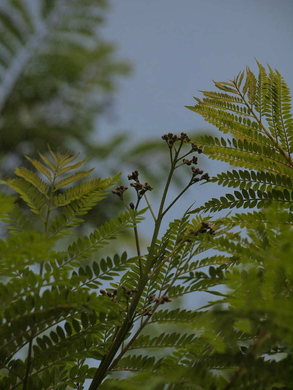 P6010181_2