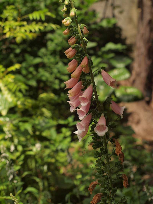P6020212
