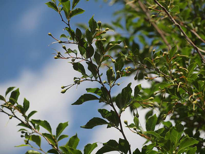 P6020226