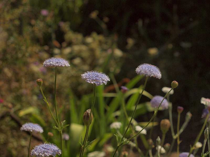 P6050640