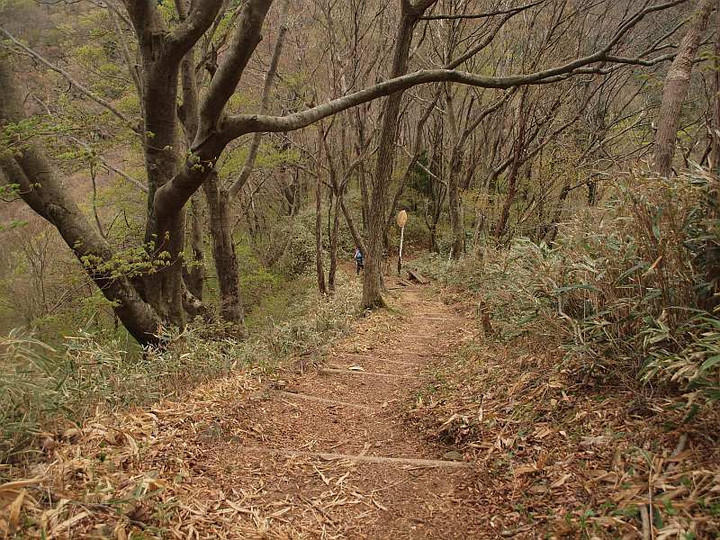 P5047199tougewo_miorosu