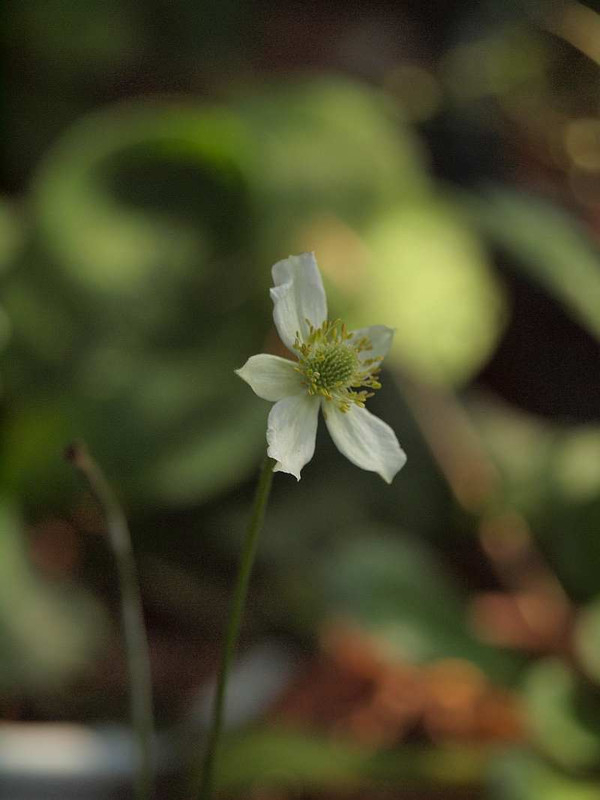 P6101172