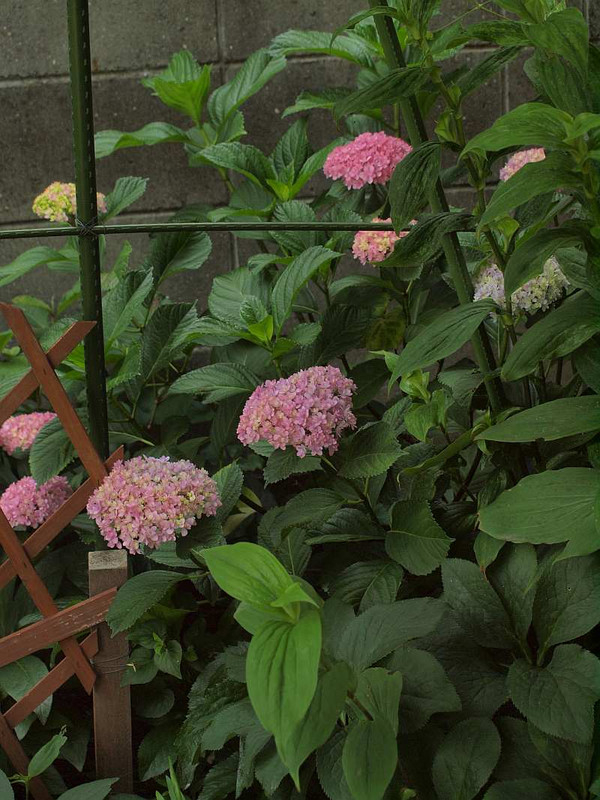 P6101173