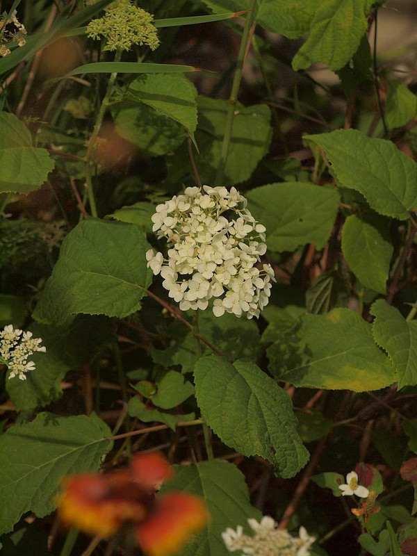 P6101181