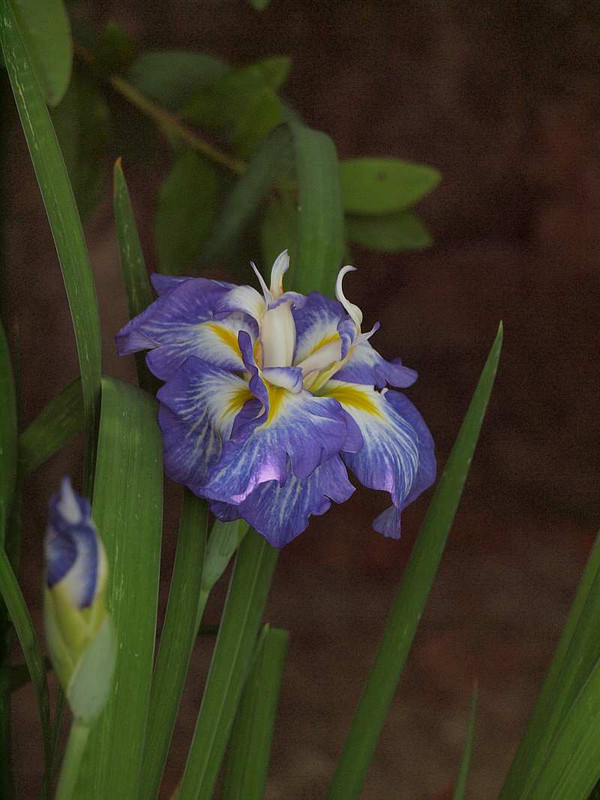 P6101184