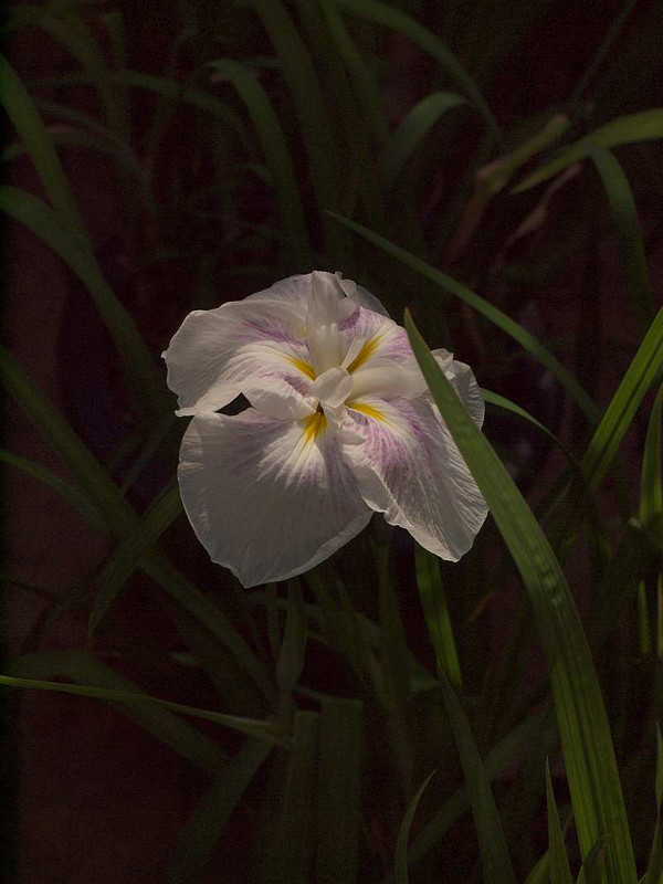 P6101185
